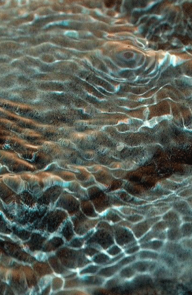 _0010_aa87484f23608a934f86814f1bf8ef3c